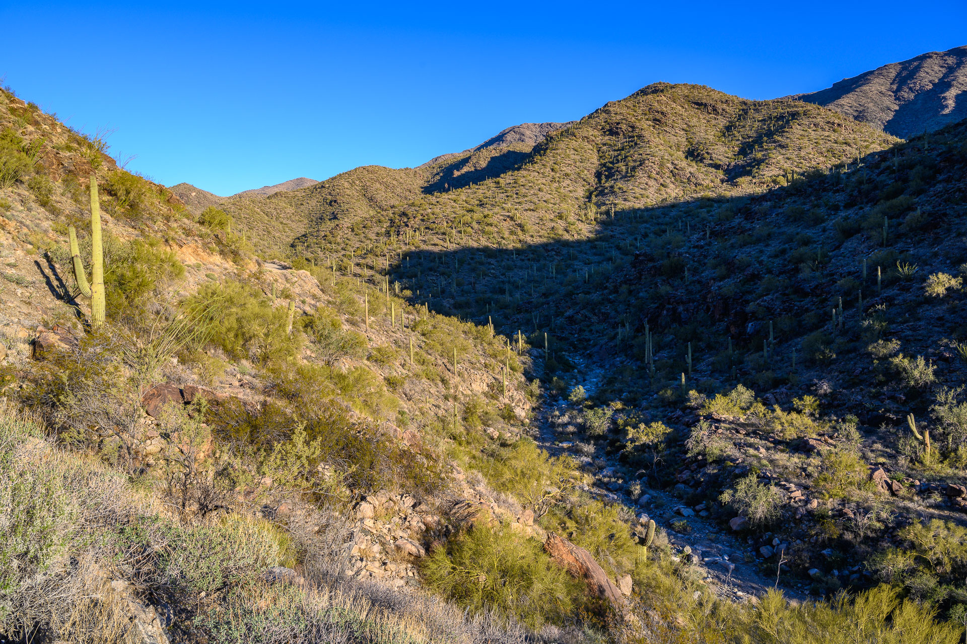 Harquahala Mountain, Big Horn Peak CK Outside