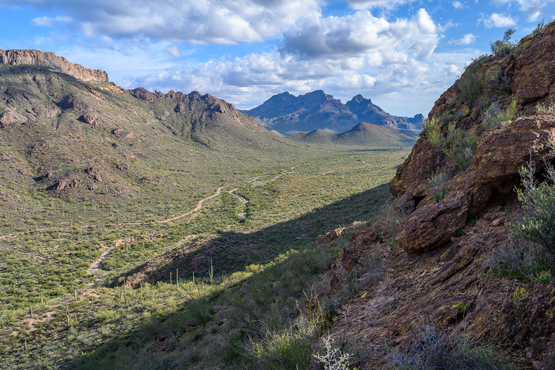 Mount Ajo CK Outside