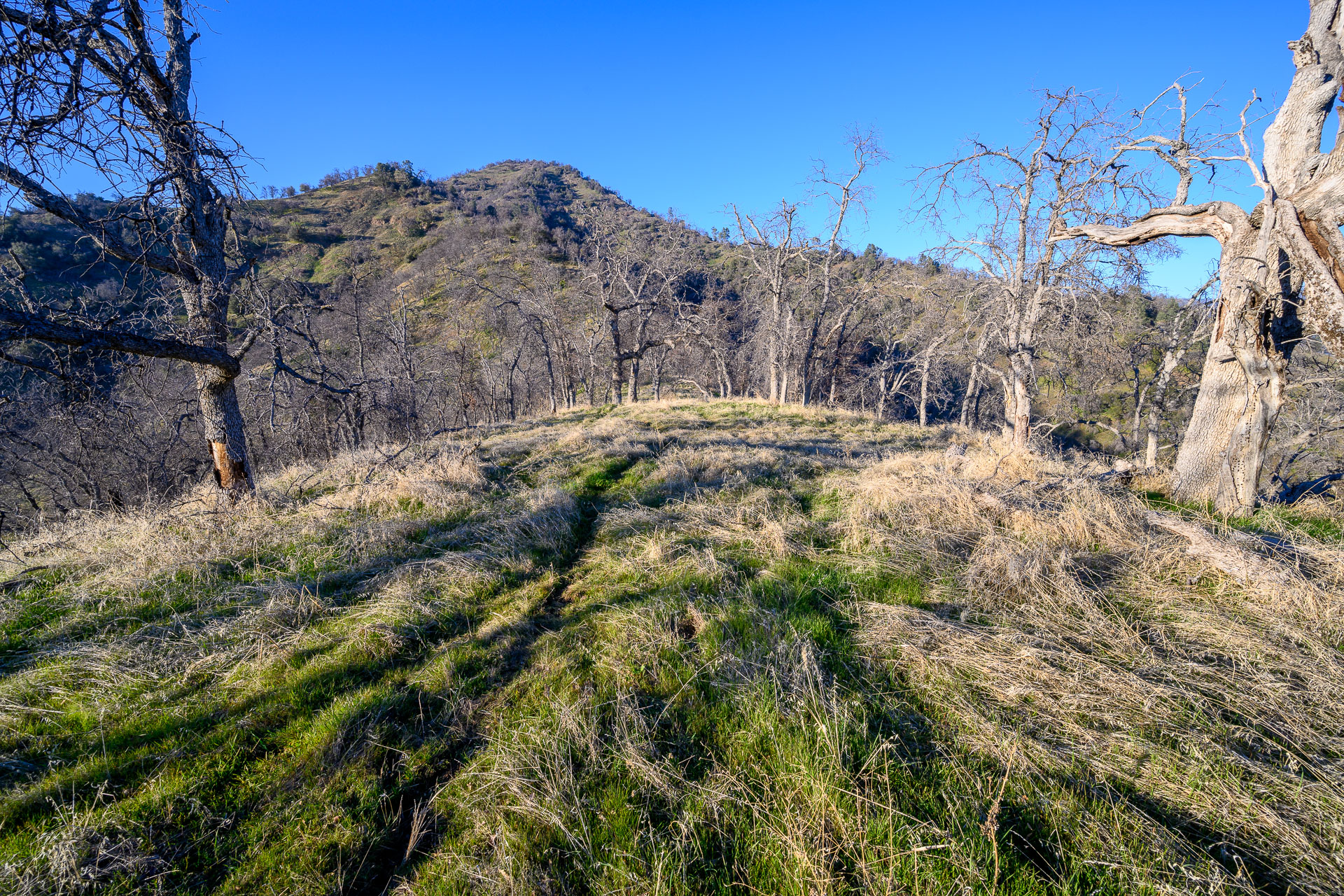 Pine Flat Reservoir | CK Outside